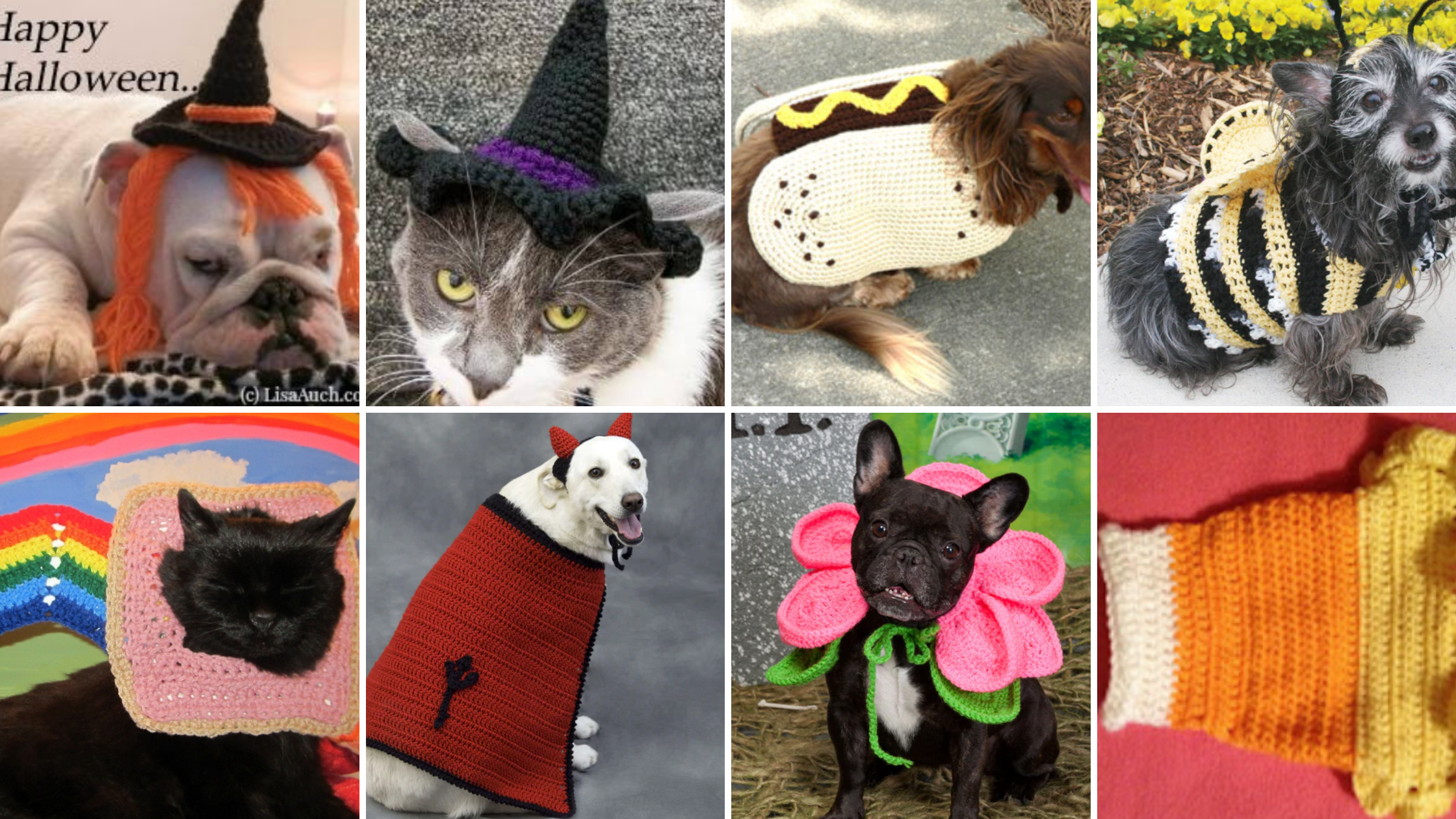 Which Halloween Pet Costume Would You Make?